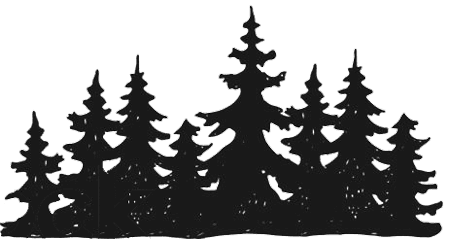 Pine Trees